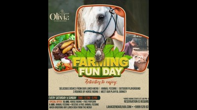 Farming Fun Day