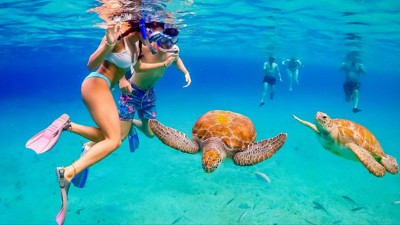 Snorkeling with Turtles & Beach Hopping Tour