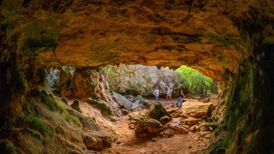 West Coast Beaches & Hidden Gems Tour