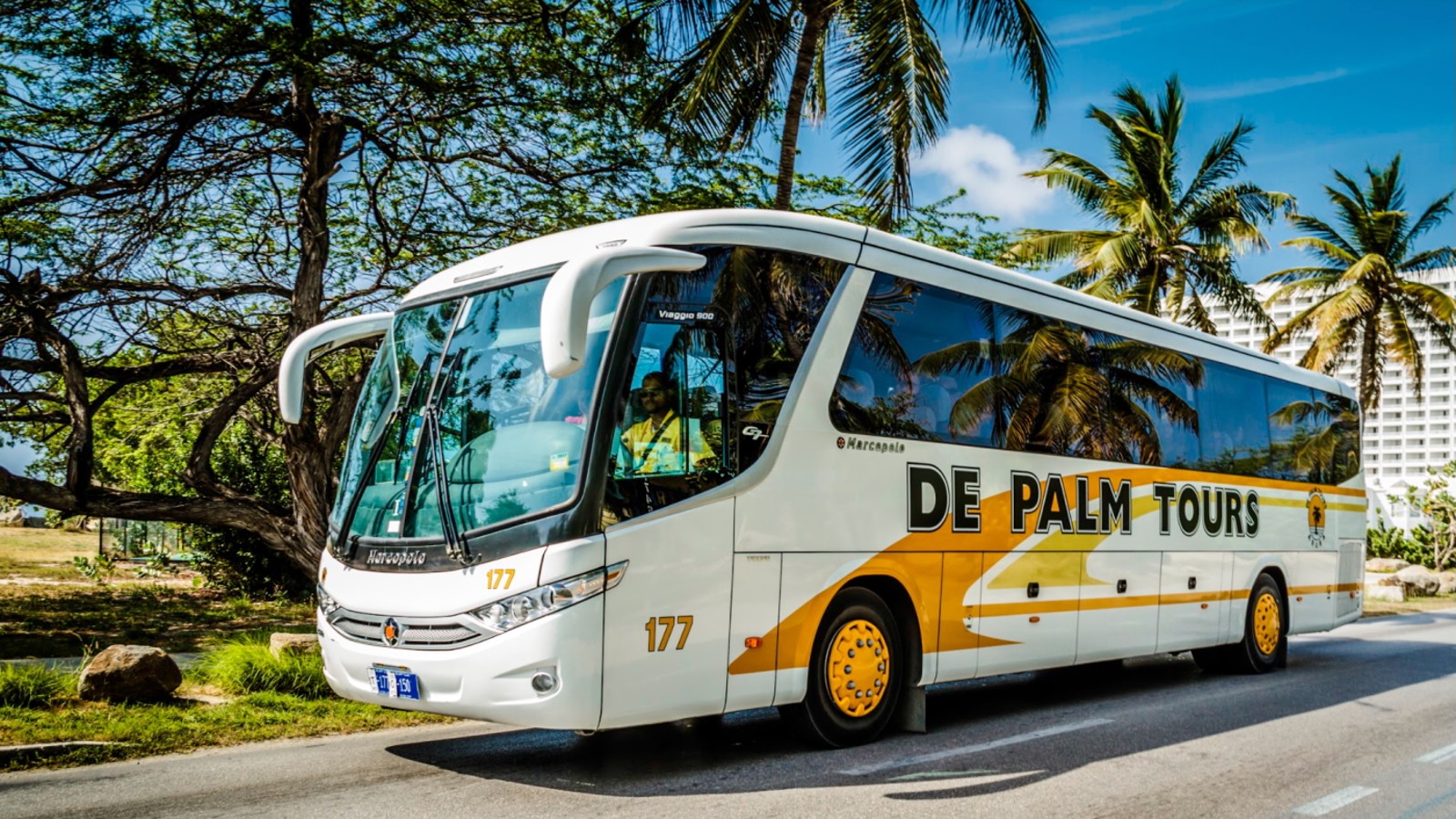 Bus Sightseeing Tour - De Palm Tours - Image 1