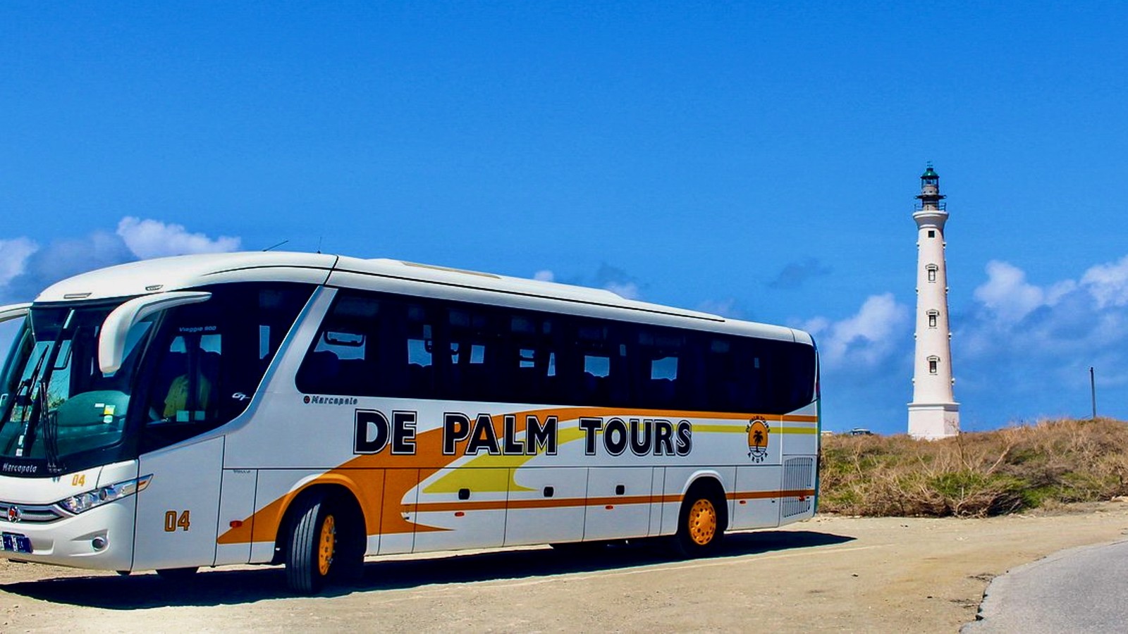 Bus Sightseeing Tour - De Palm Tours - Image 2
