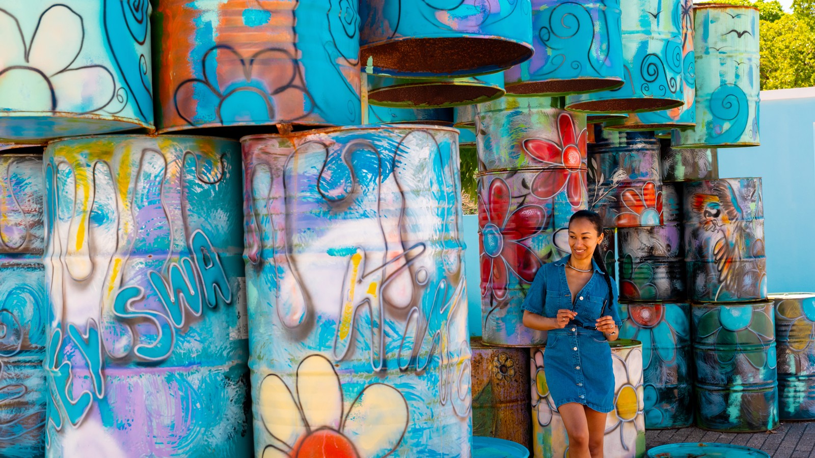 10. Curaçao Street Art - Image 6