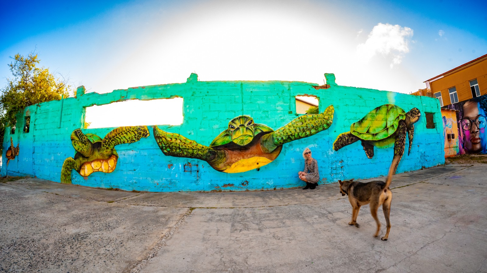 14. Aruba Street Art - Image 1