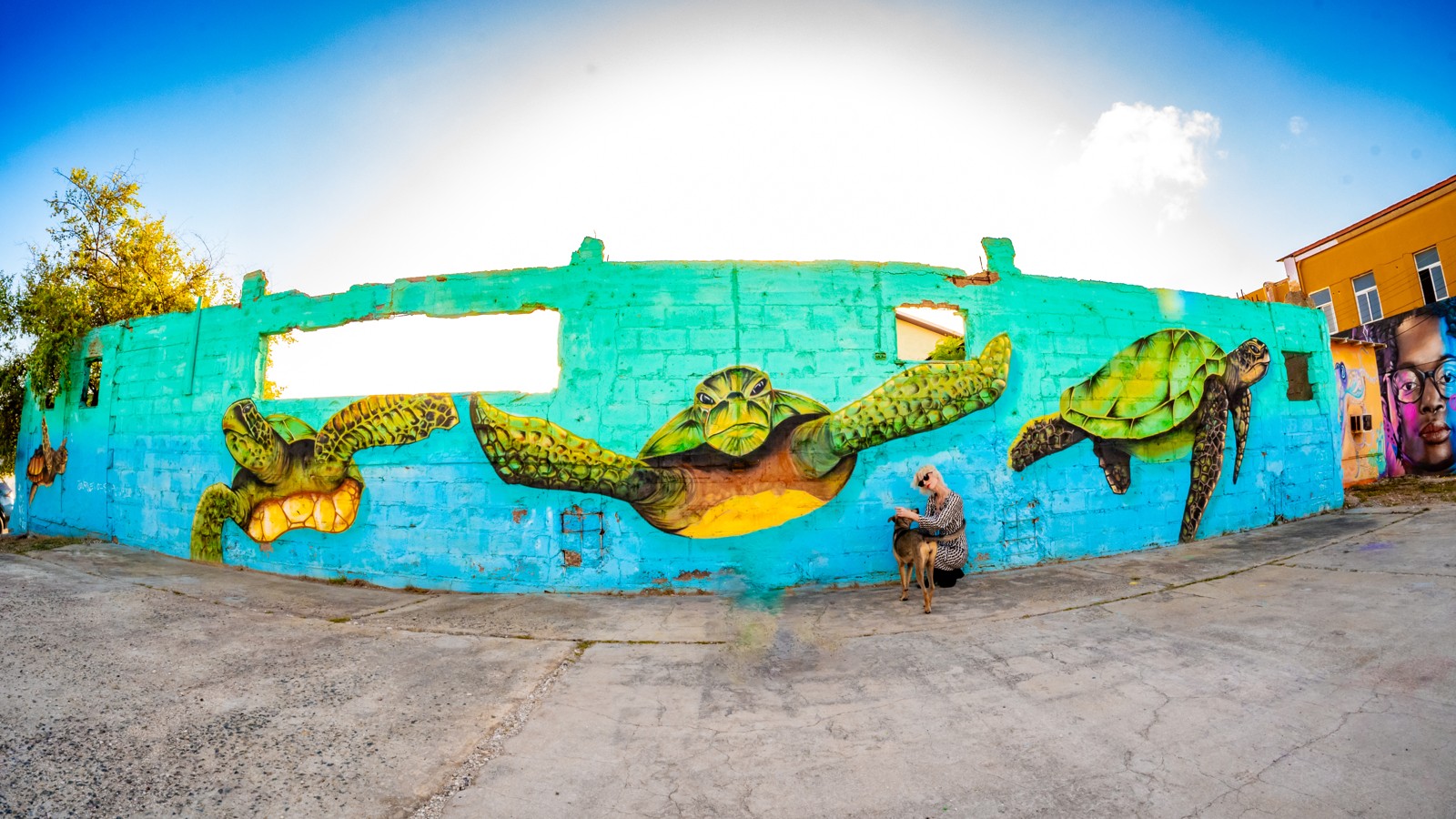 14. Aruba Street Art - Image 2