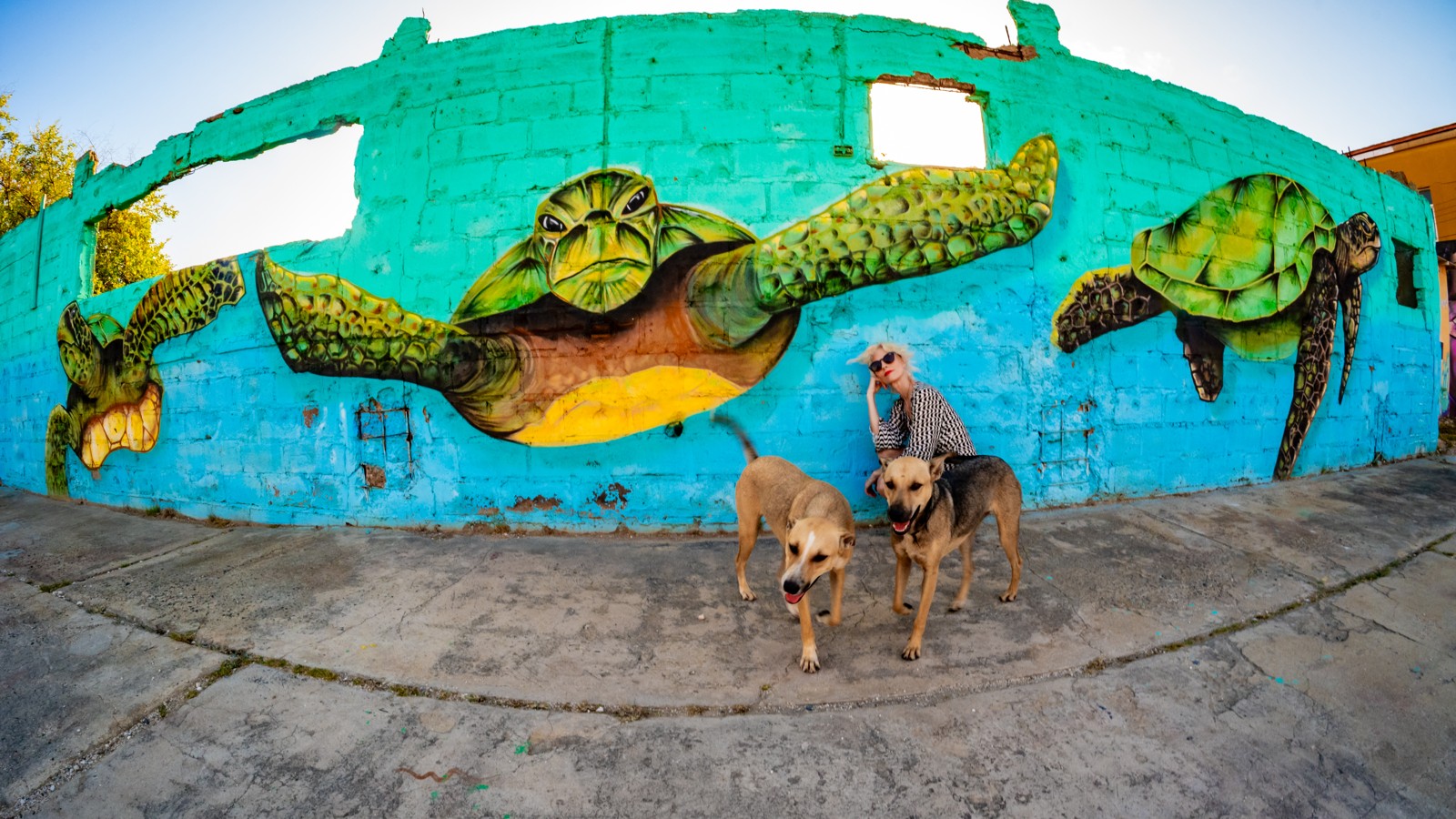 14. Aruba Street Art - Image 3