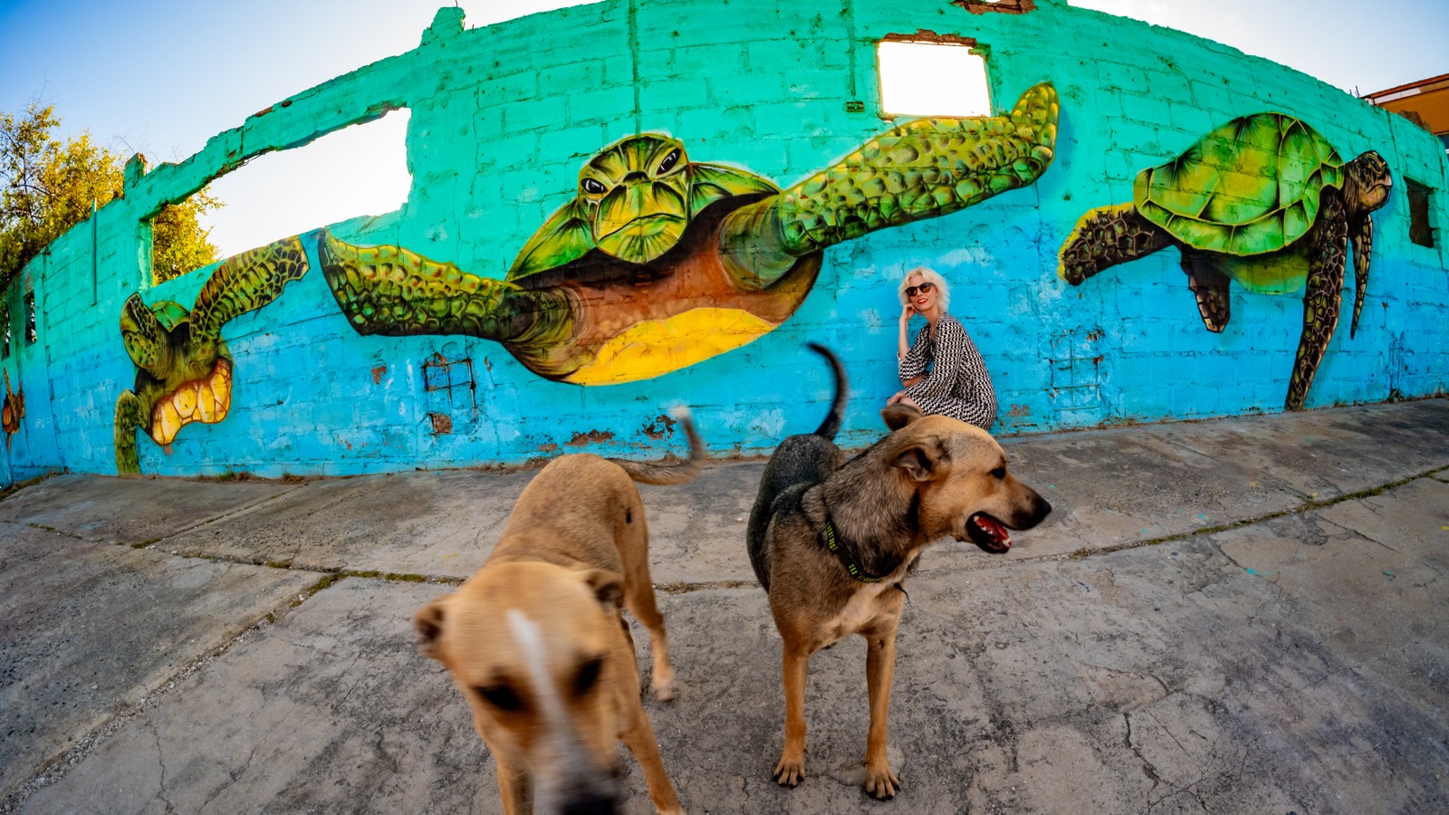 14. Aruba Street Art - Image 5