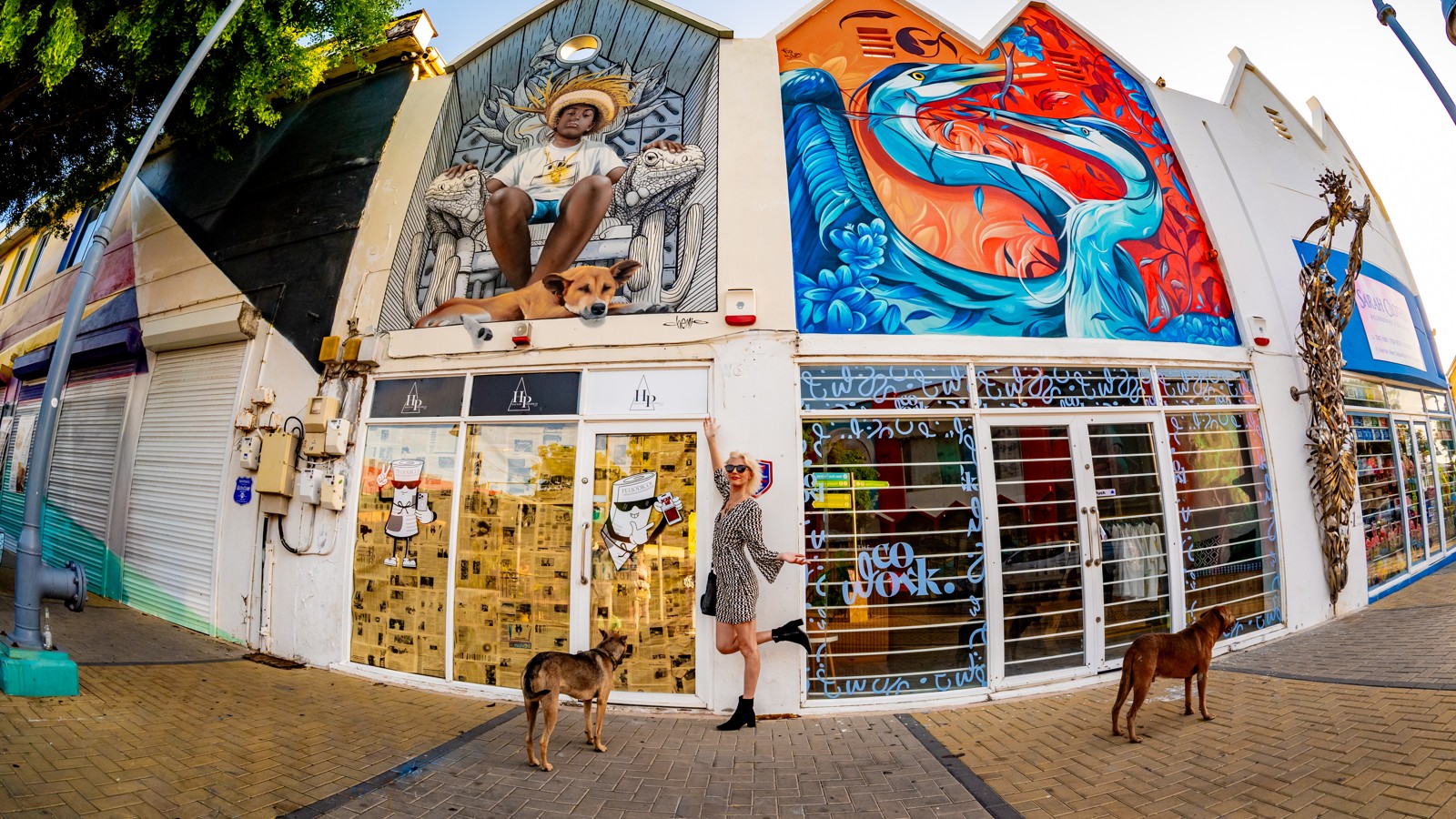 16. Aruba Street Art - Image 2