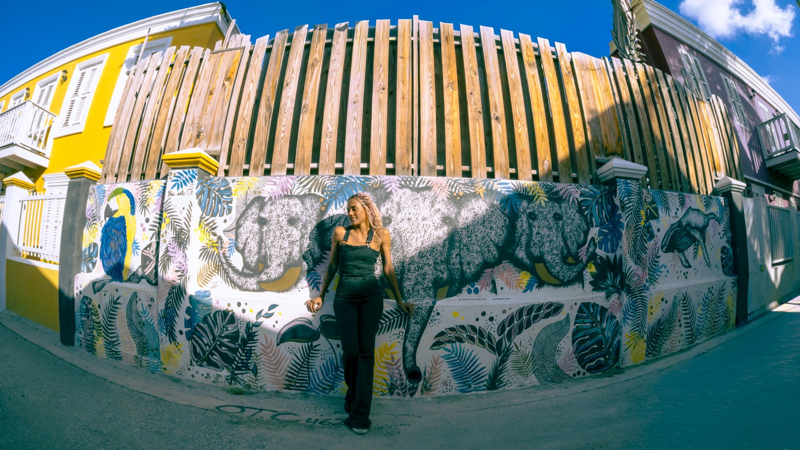 21A. Curaçao Street Art - Image 1