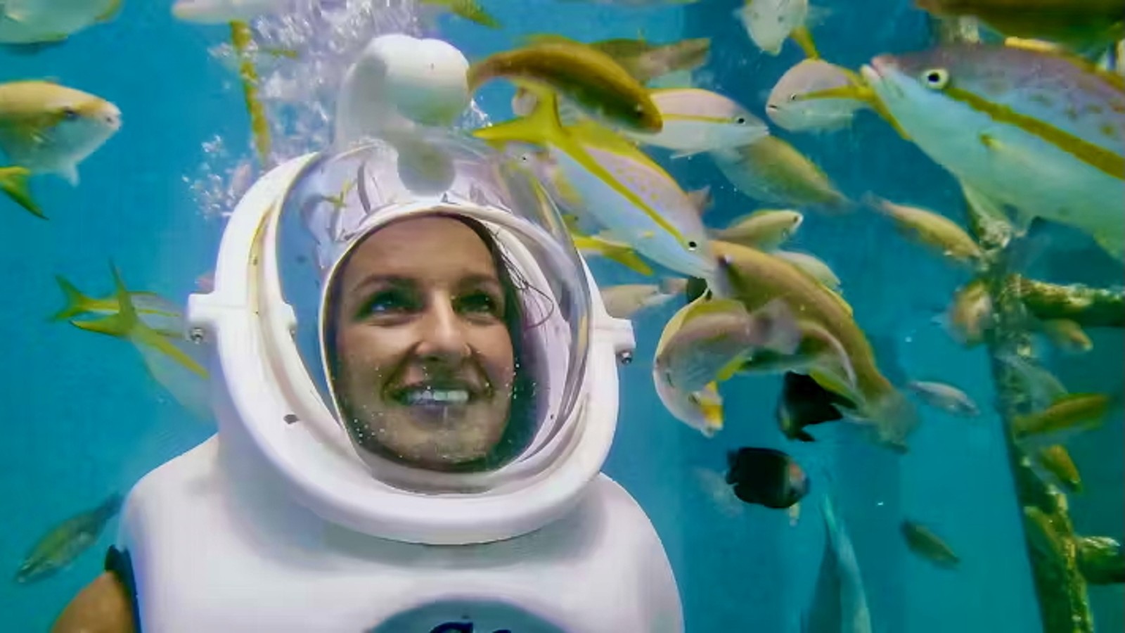 Sea Trek Underwater Helmet Walk - De Palm Island - Image 2