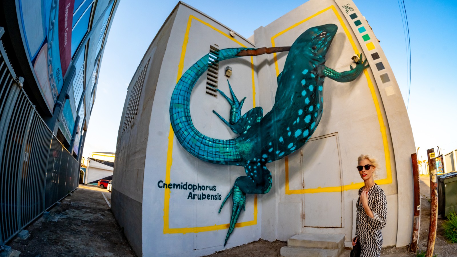 26. Aruba Street Art - Image 1