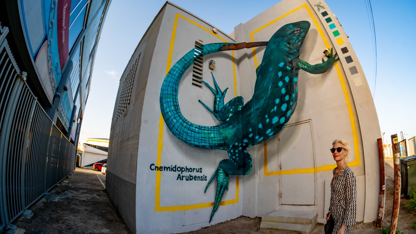 26. Aruba Street Art - Image 2