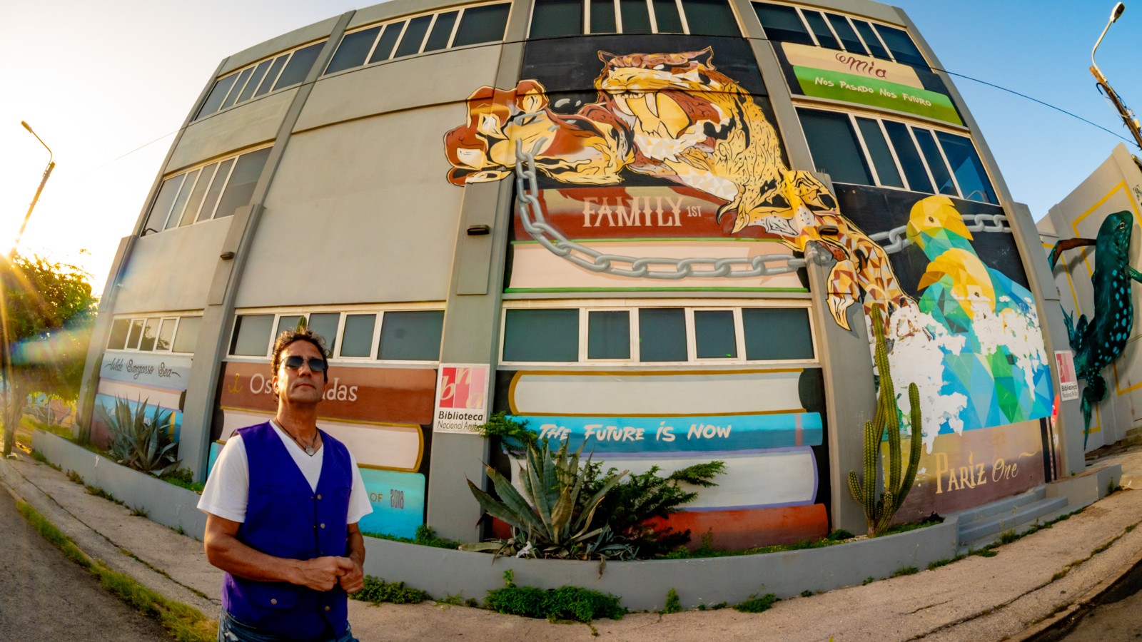 27. Aruba Street Art - Image 1