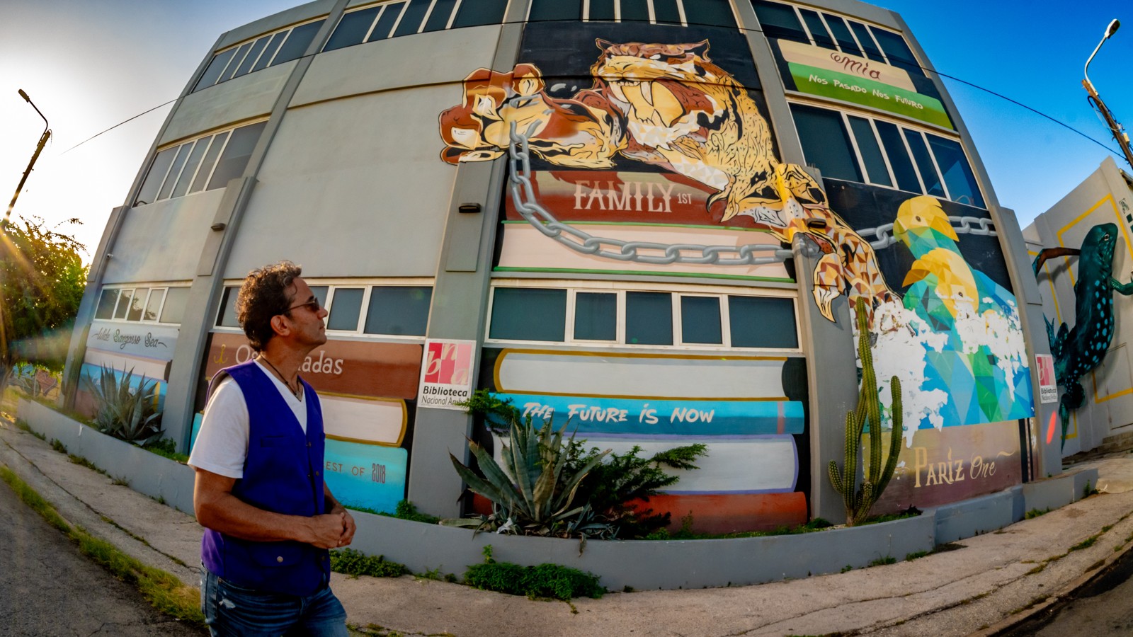 27. Aruba Street Art - Image 2