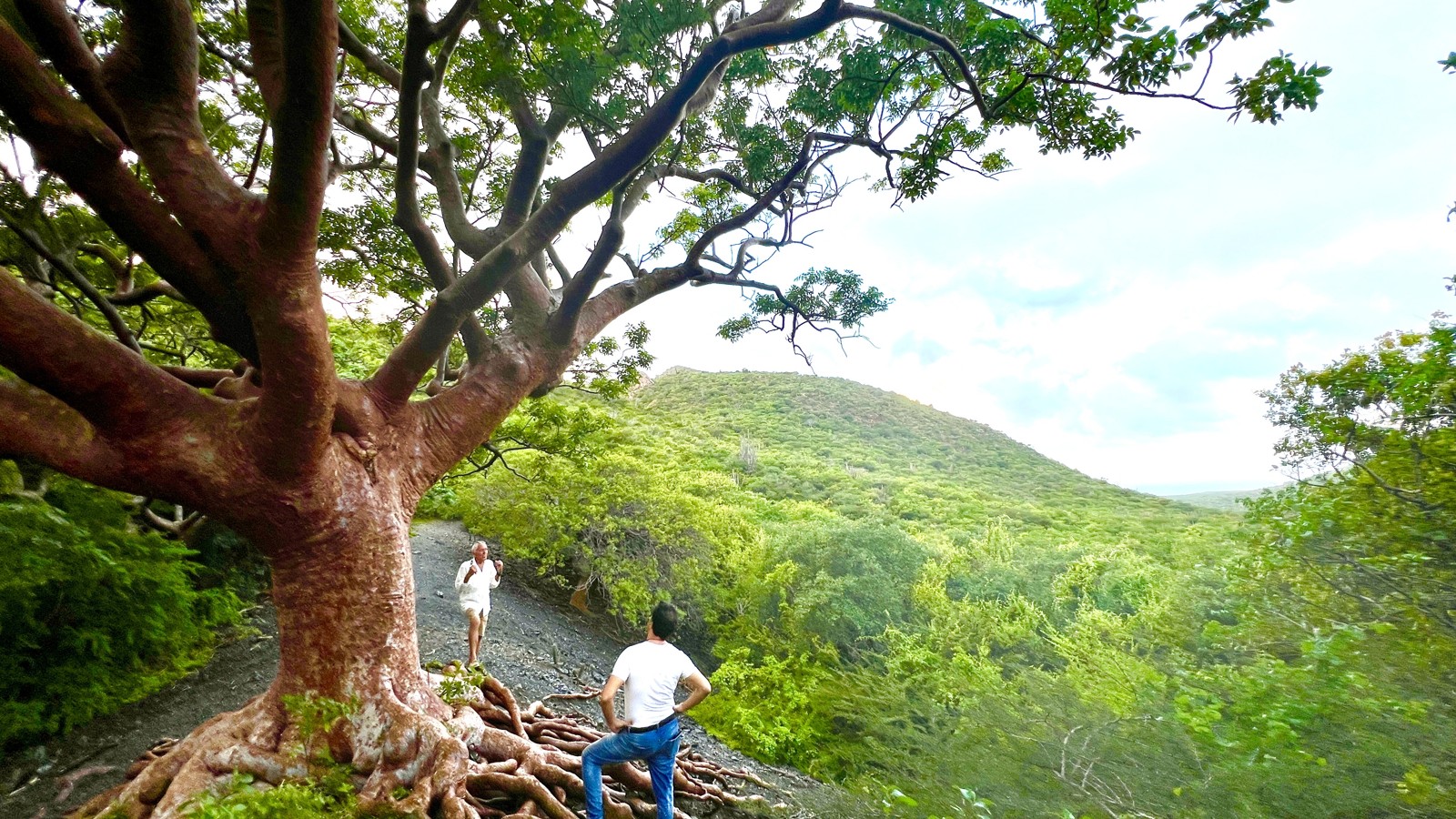 Hiking Tour - Image 1