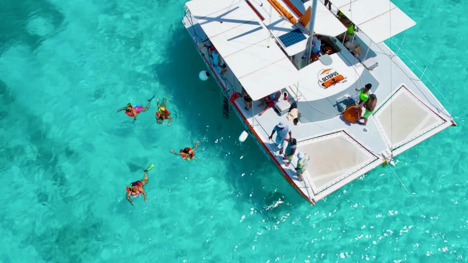 Morning Snorkel Sail - Octopus Sailing - Image 2