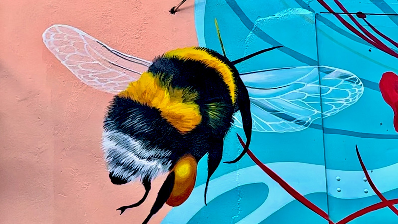 45. Curaçao Street Art - Image 2