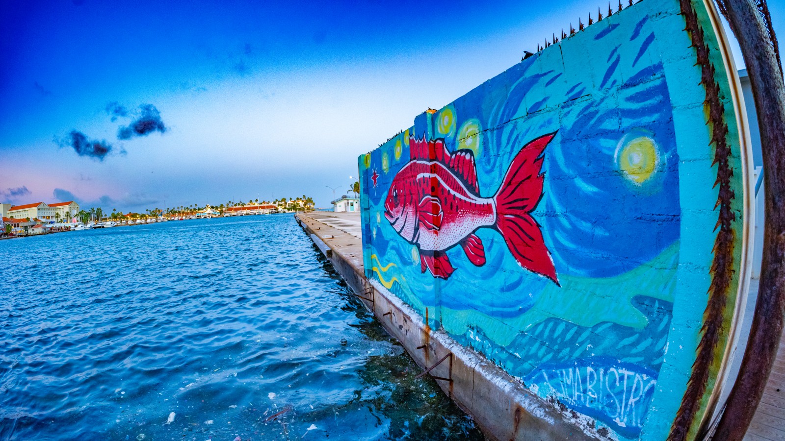 52. Aruba Street Art - Image 1