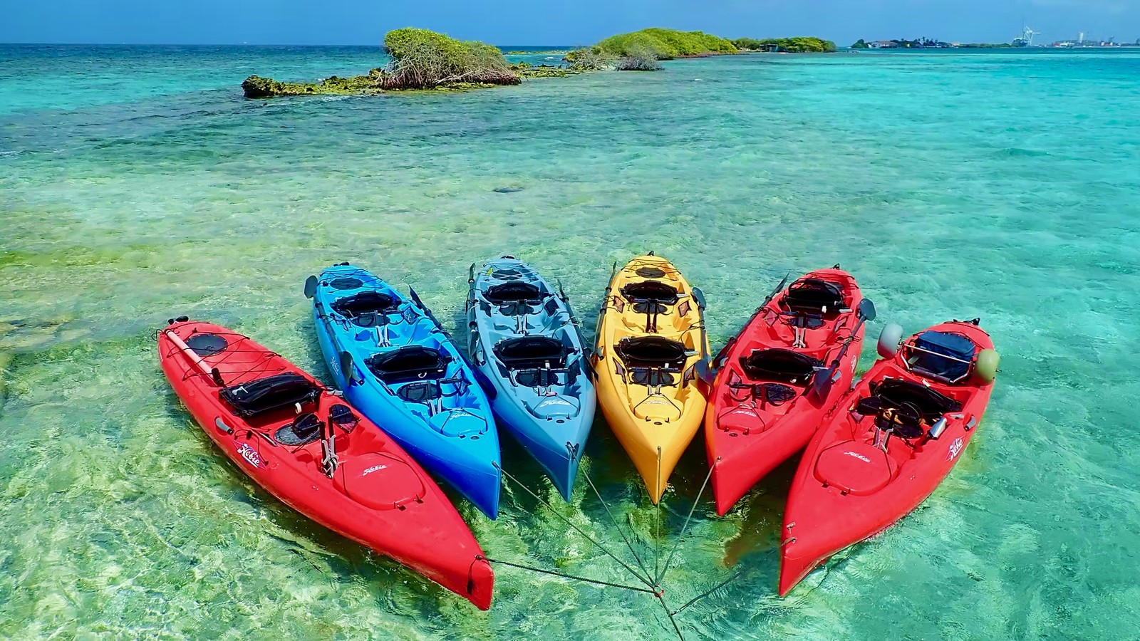 Custom Eco Tour (Kayak, SUP, or Bike) - Image 1