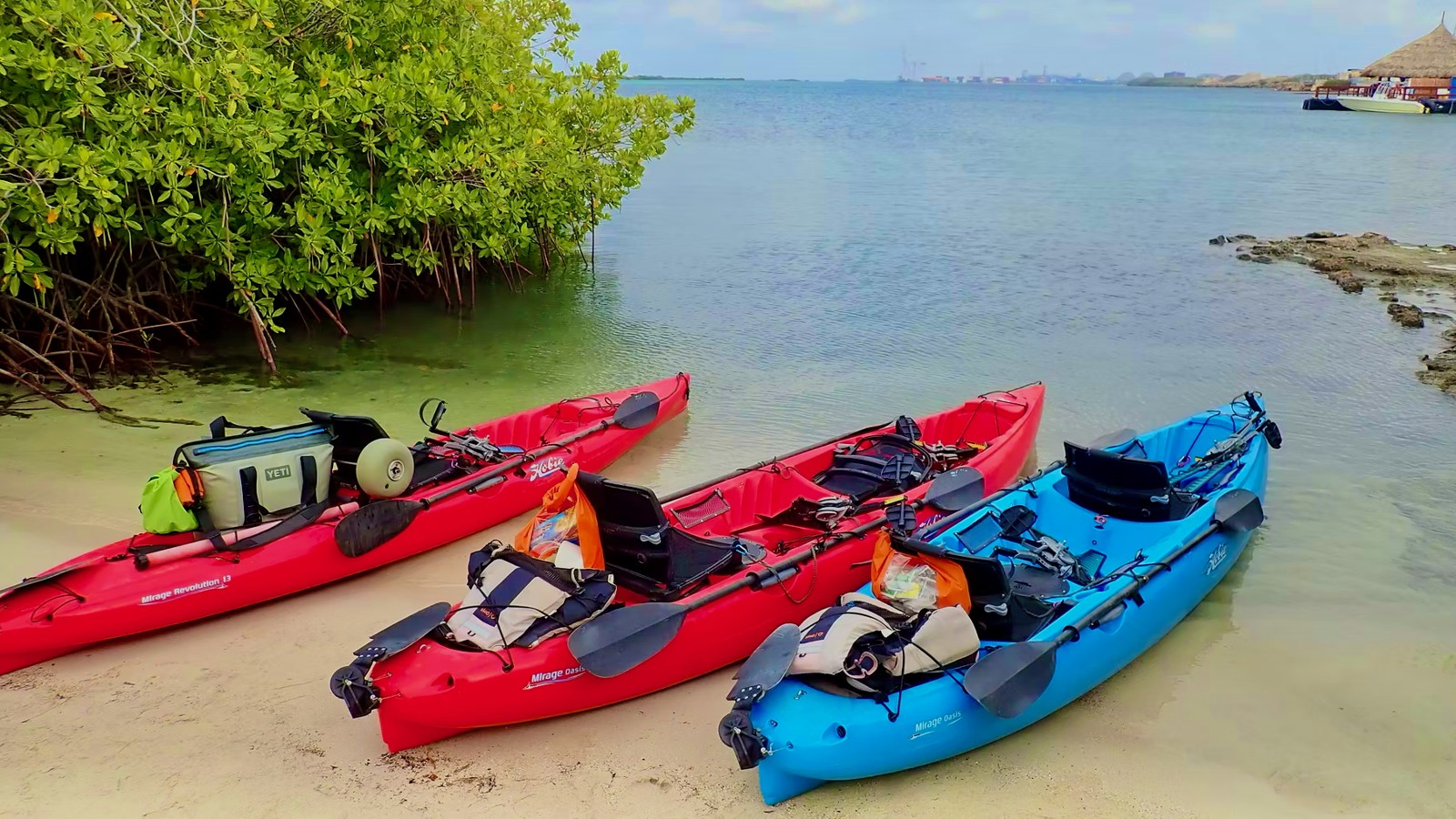 Custom Eco Tour (Kayak, SUP, or Bike) - Image 3