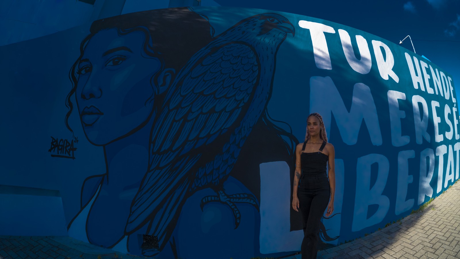 52A.  Curaçao Street Art - Image 4