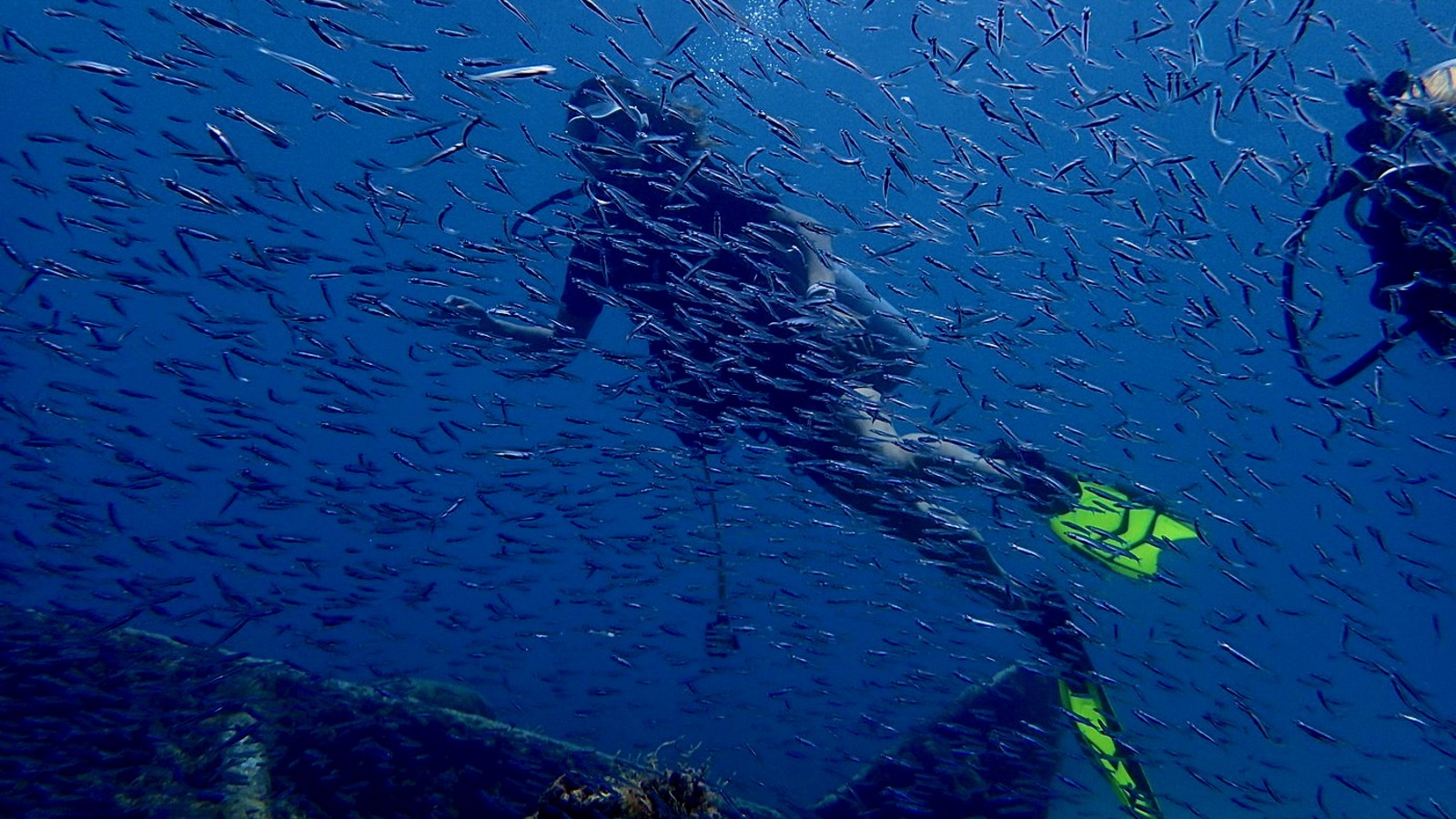 Discover Scuba Diving - Image 2