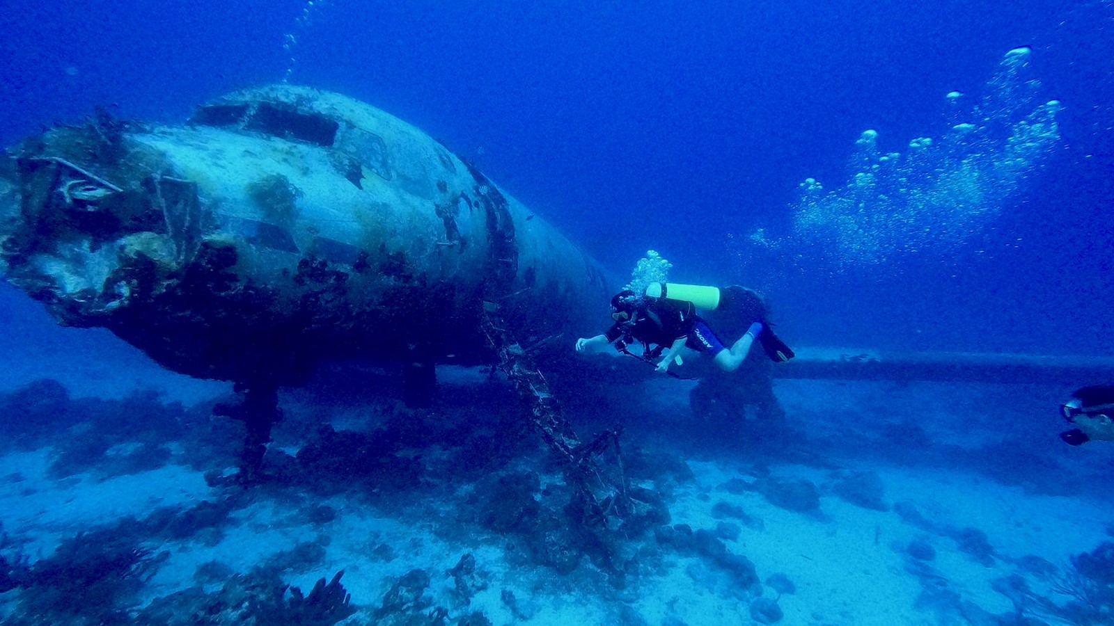 Wreck & Reef Dive - Image 1