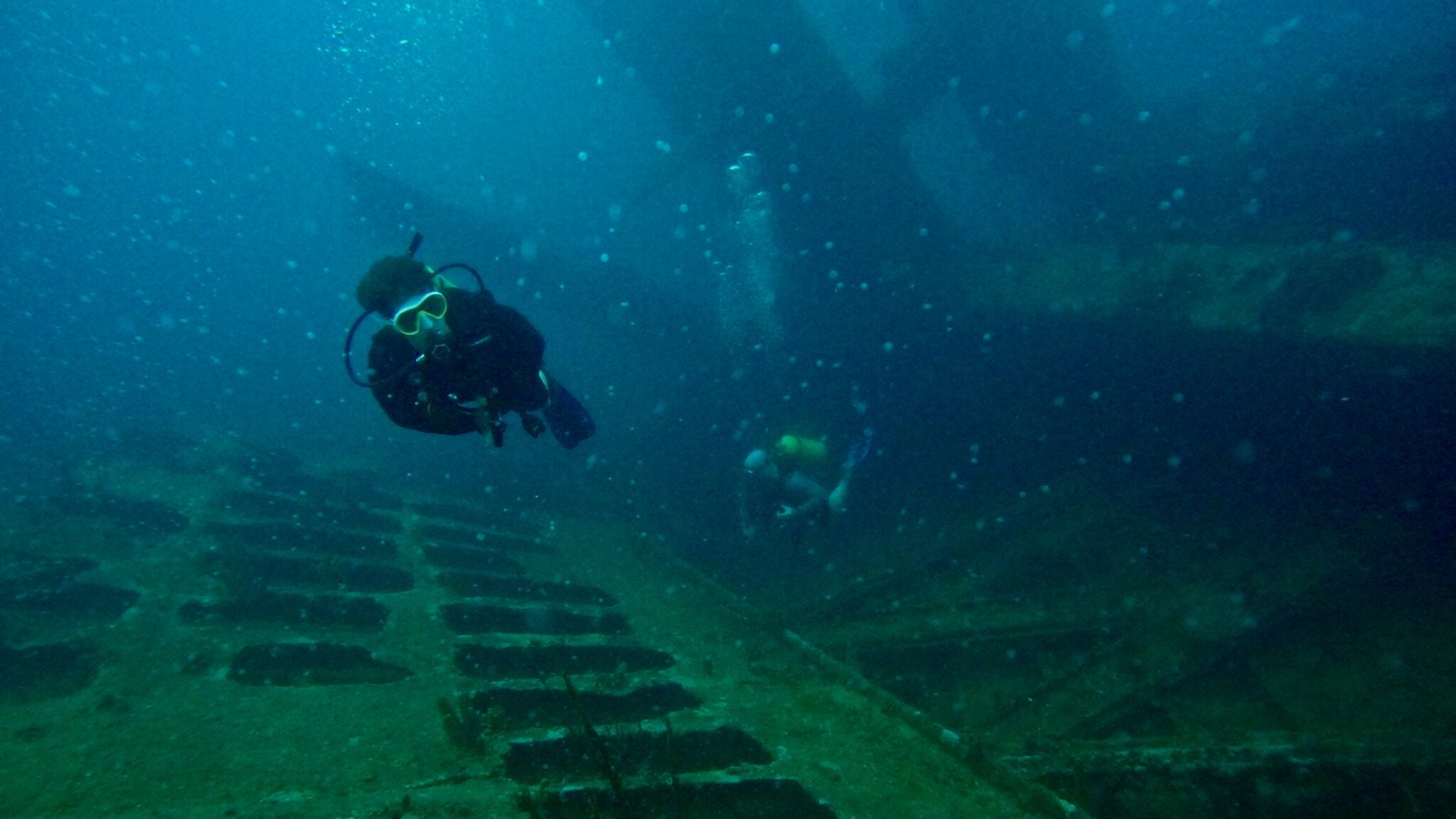 Wreck & Reef Dive - Image 4