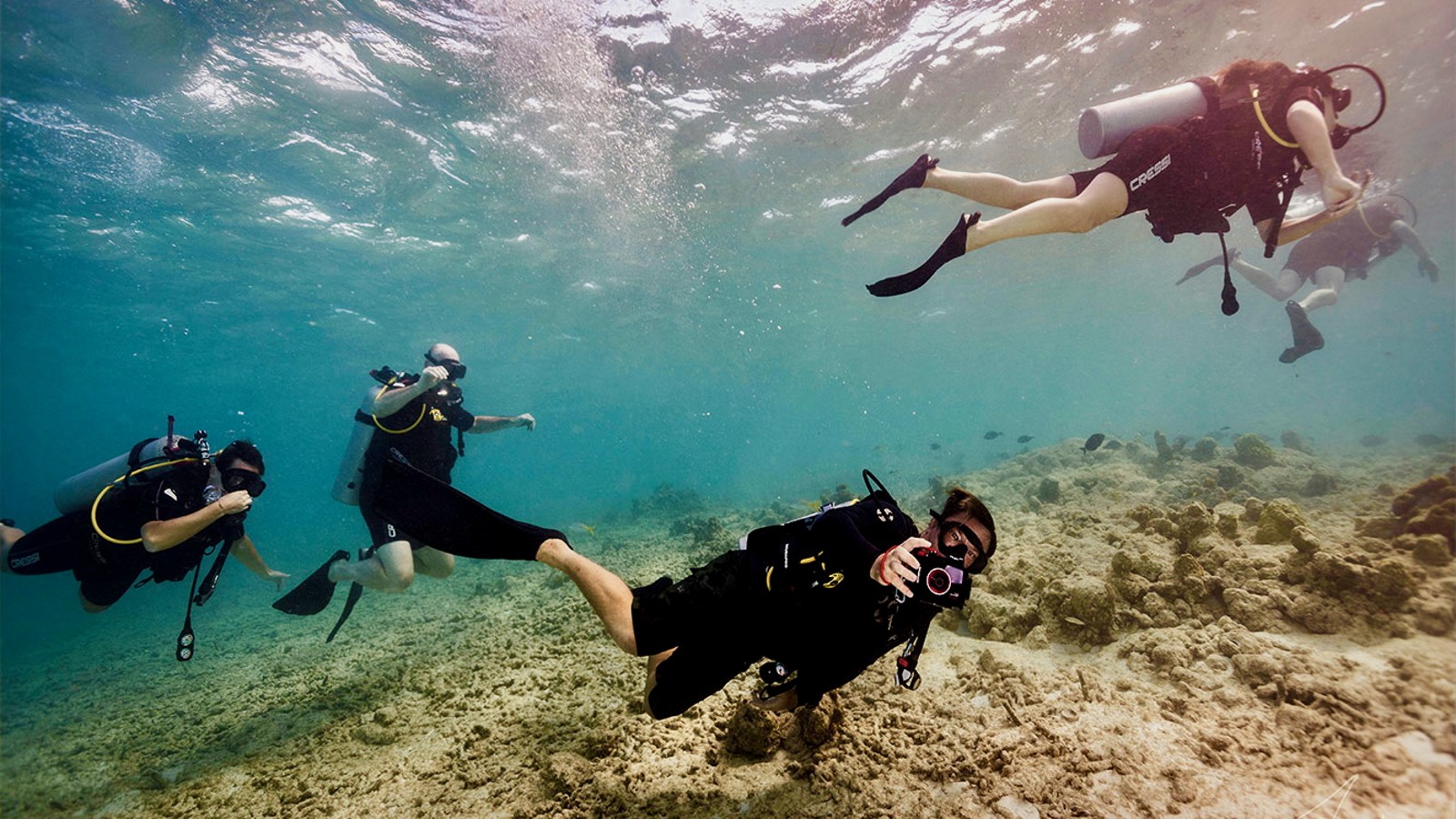 Private Dive Charter - Image 3