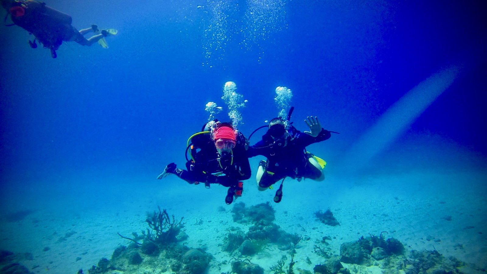 Tank Morning Boat Dive (Southern Coast) - Image 4