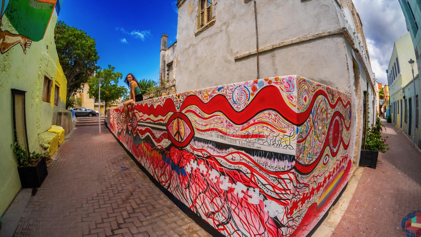 53. Curaçao Street Art - Image 5