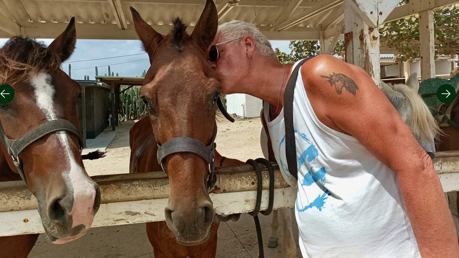 Natural Pool Horseback Ride - De Palm Tours - Image 4