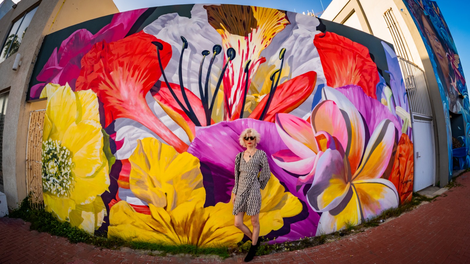 08. Aruba Street Art - Image 2