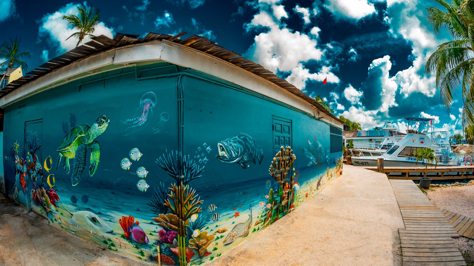 Jhomar Loaiza Mural - At Ocean Encounters - Mambo - Image 1