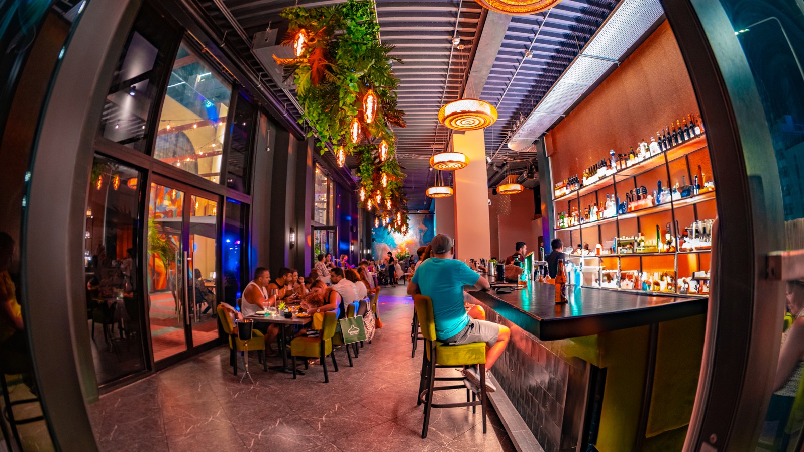 Mar & Terra 91 - Image 1