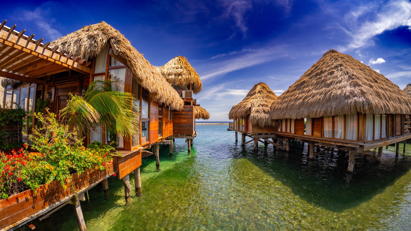 Aruba Ocean Villas - Image 2