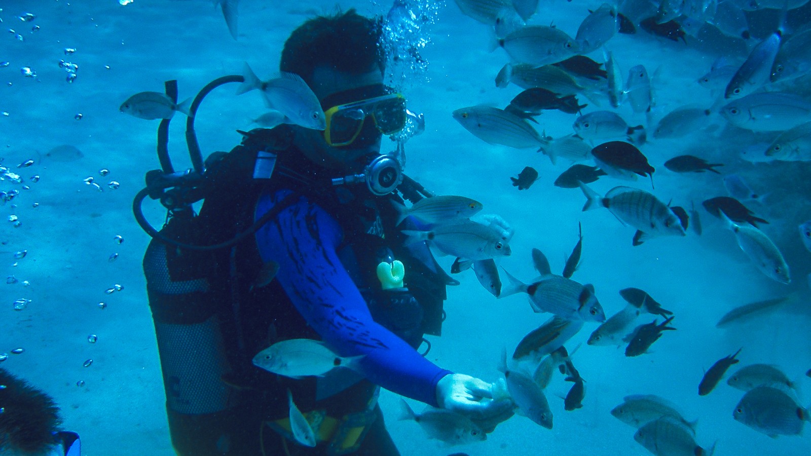 Atlantis Adventure Tours - Image 1