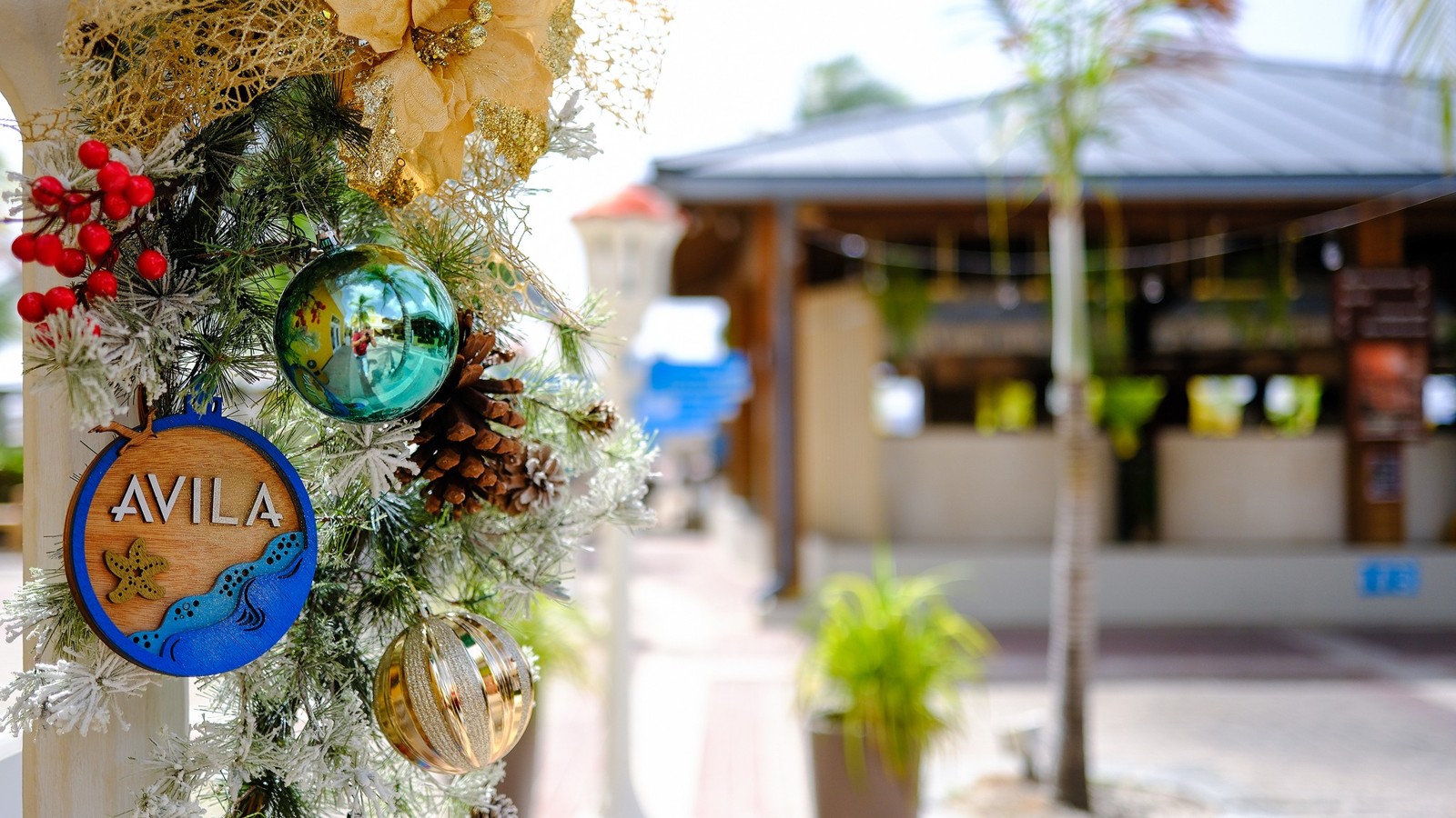 Christmas Brunch at Avila Beach Hotel - Image 1
