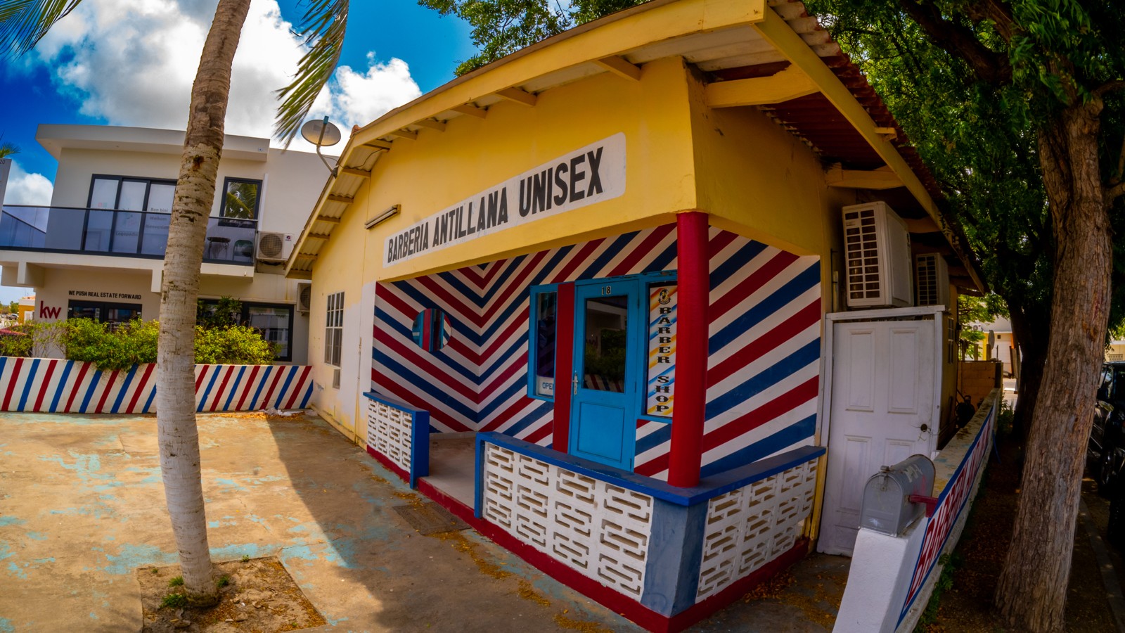 Barberia Antillana Unisex - Image 2