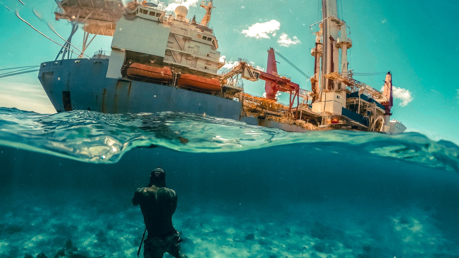 Bearded Butlers Curacao - Image 1