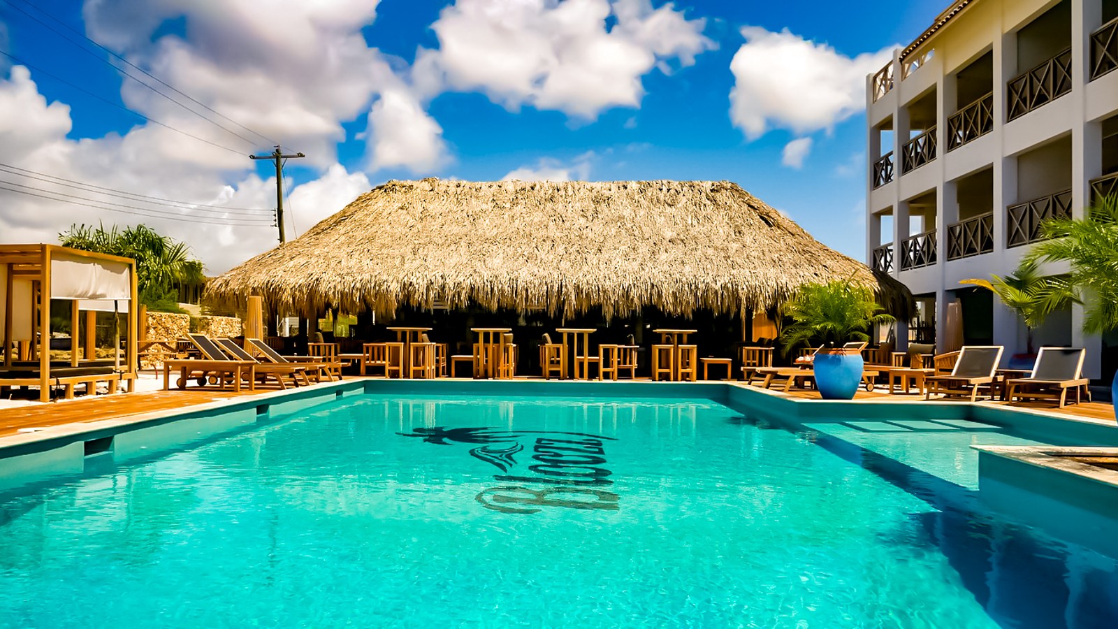 Bloozz Resort Bonaire - Image 3