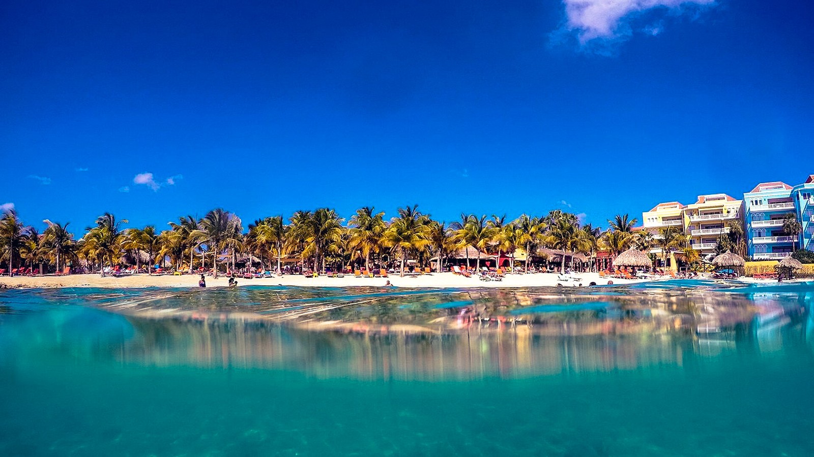 Blue Bay Dive & Watersports - Image 1