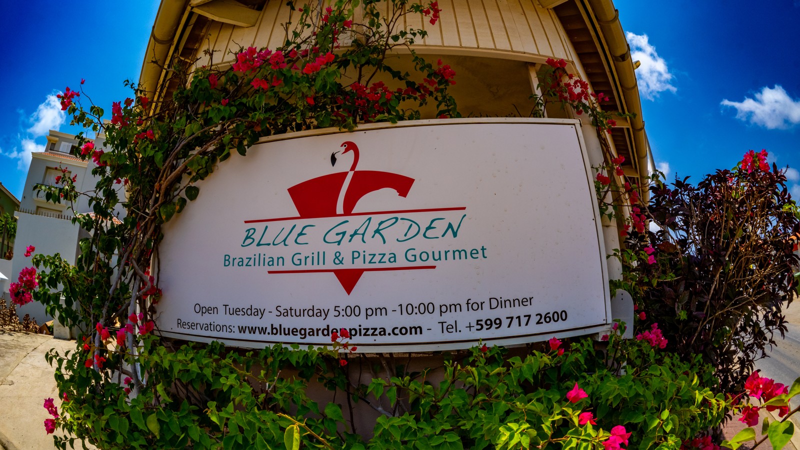 Blue Garden Brazilian Grill & Pizza Gourmet - Image 3