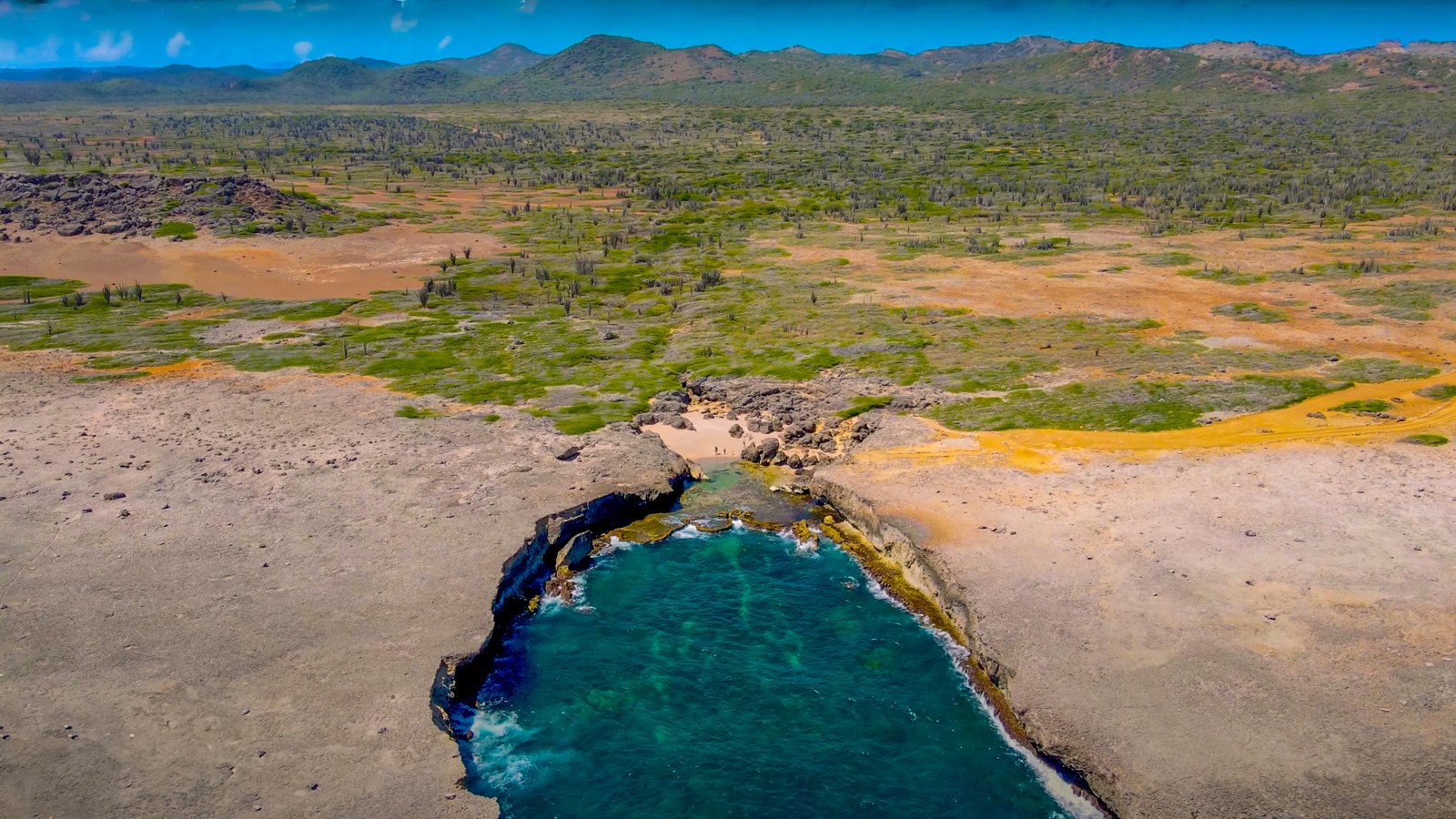 Boka Kokolishi - Image 3