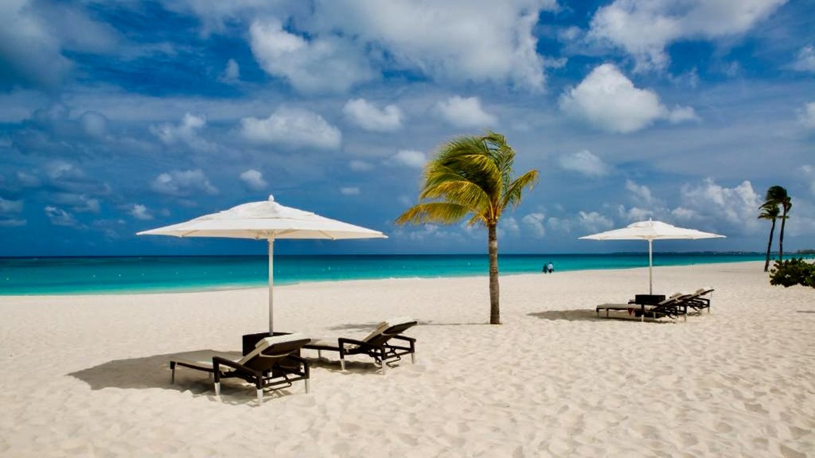 Bucuti & Tara Beach Resort (Adults-Only) - Image 9