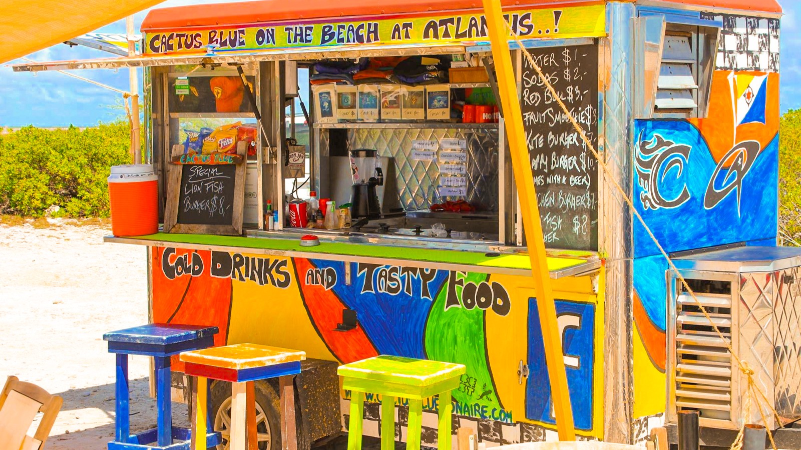 Cactus Blue (Temporarily Closed) - Image 2