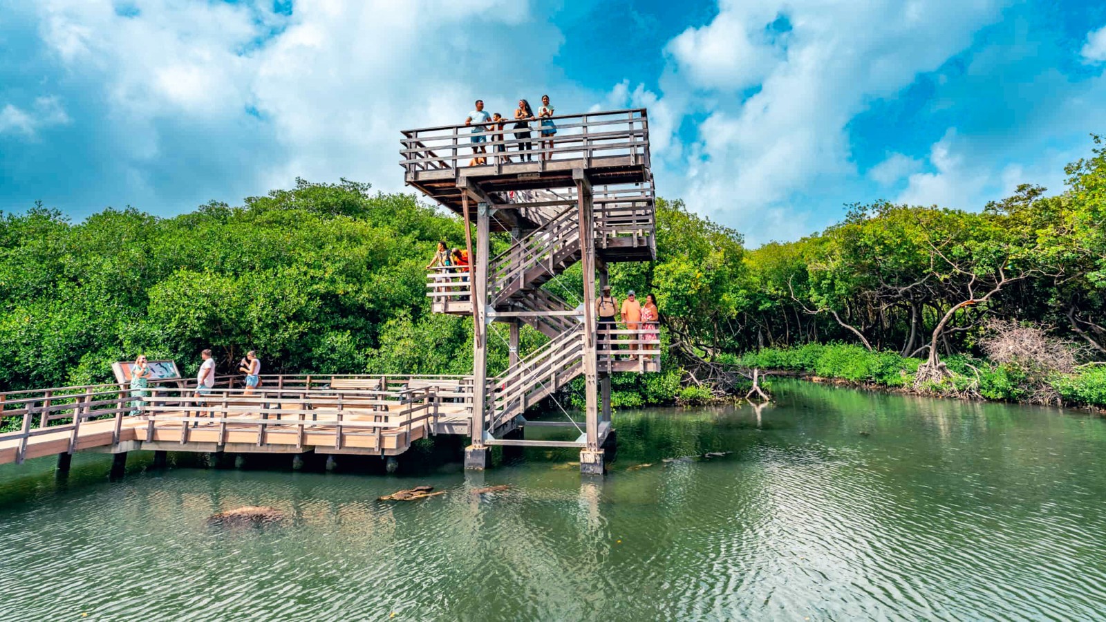 Curacao Riff Mangrove Park - Image 1