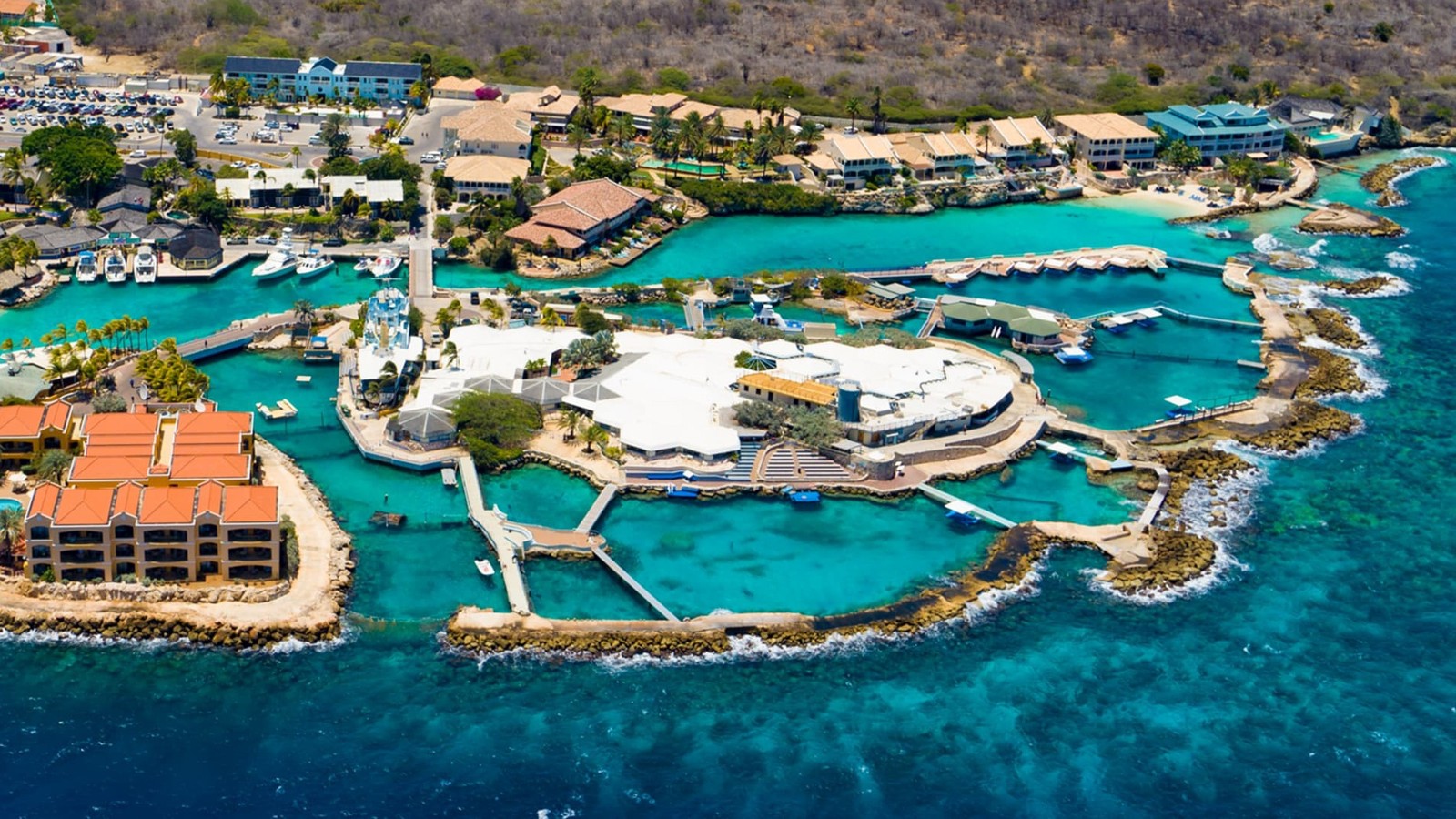 Curaçao Sea Aquarium - Image 1