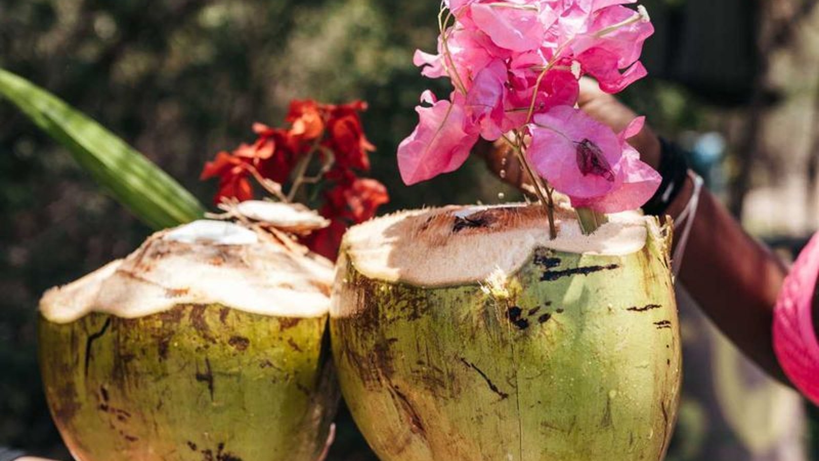 Beach Escape – Curaçao Tours - Image 4