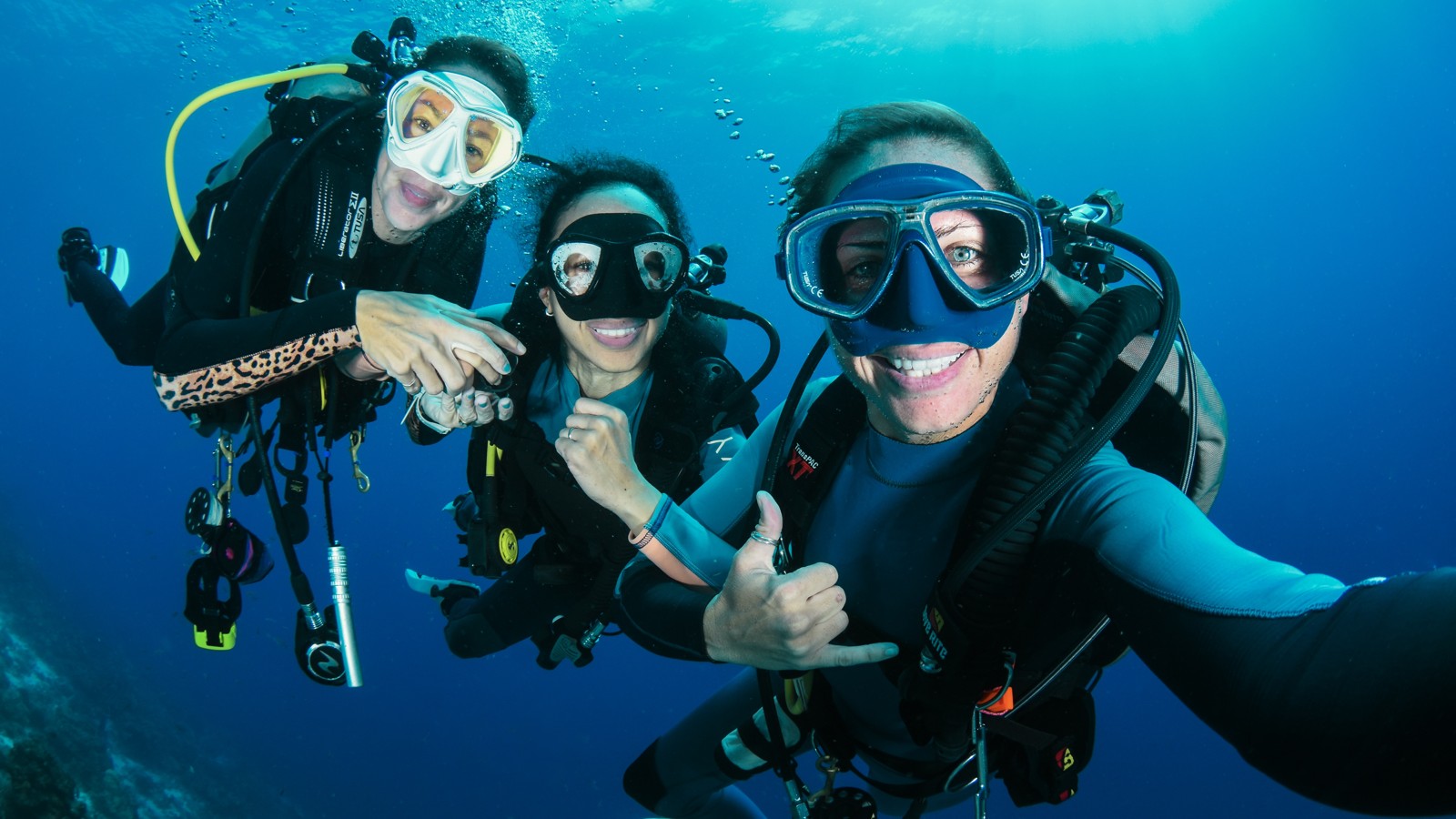 Two-Tank Boat Dive (Reefs & Wreck) - Image 1