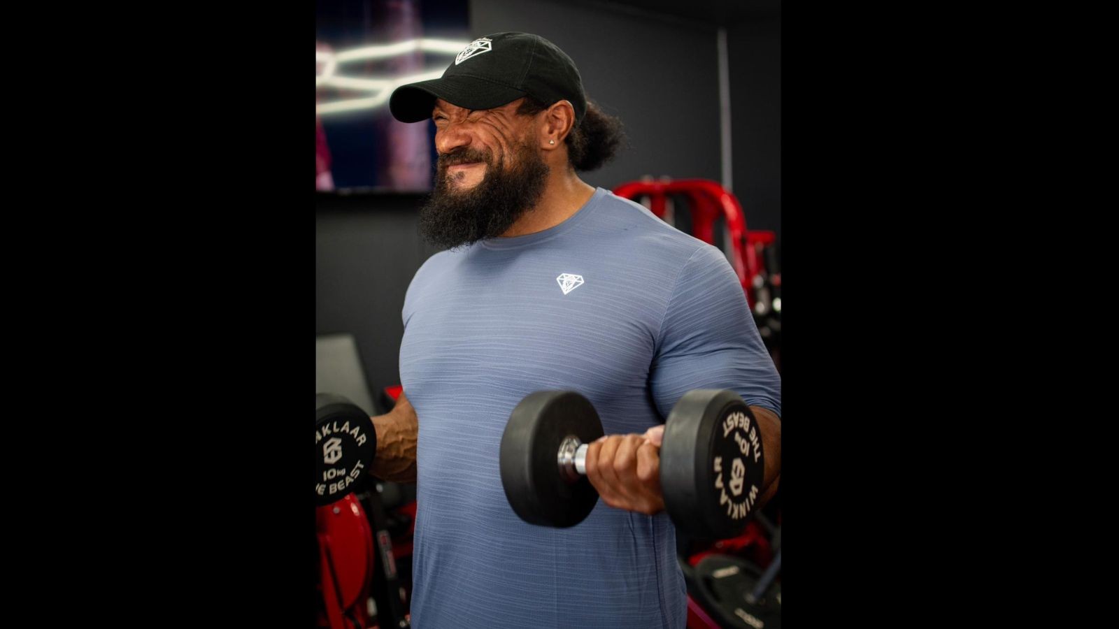 Diamond Beast - Image 5